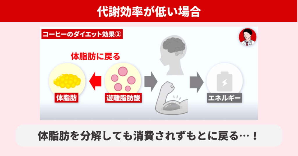 コーヒーに含まれるクロロゲン酸により脂肪の代謝効率が上がり、脂肪に戻りにくくなります。