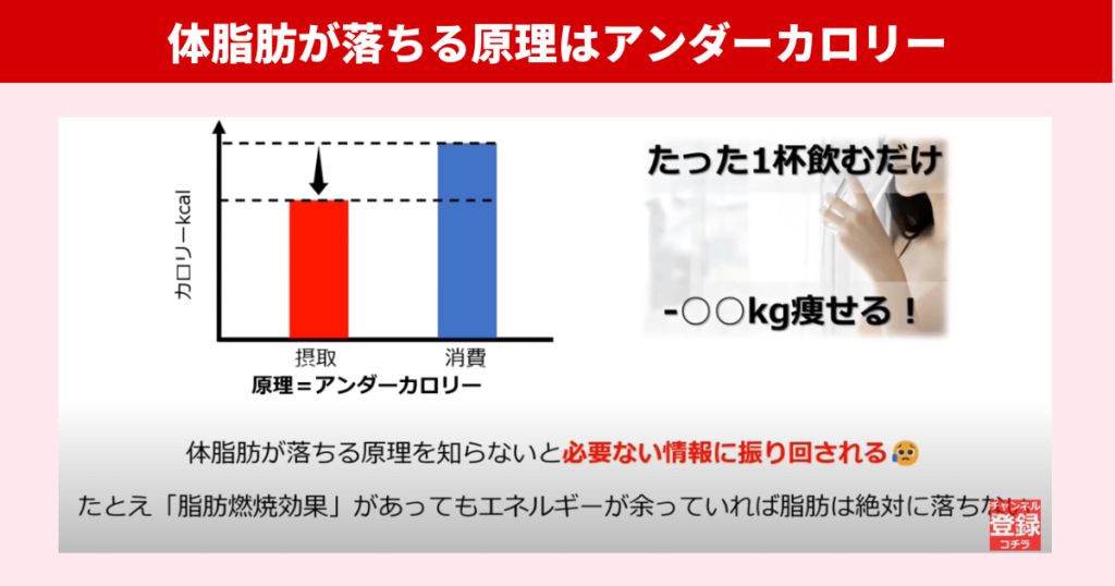 体脂肪が落ちる原理はアンダーカロリーです。消費カロリーよりも摂取カロリーが少ない状態のことをアンダーカロリーといいます。