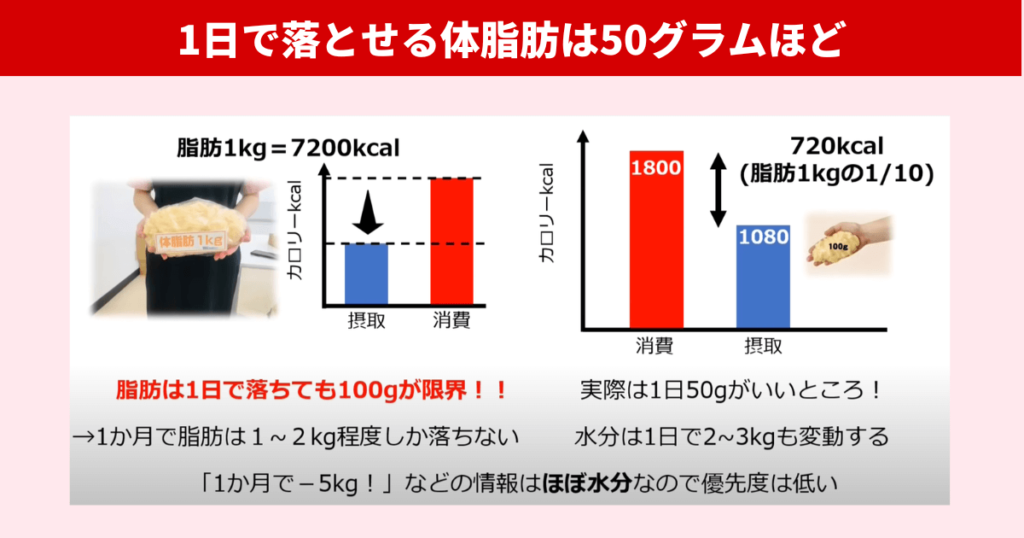 1日で落とせる現実的な体脂肪量は50gです。