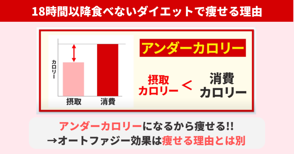 18時以降食べないダイエットで痩せるのはアンダーカロリーだから。断食で得られるオートファジー効果は痩せる理由とは別です。