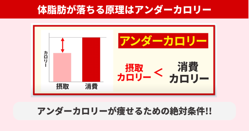 体脂肪が落ちる原理はアンダーカロリーです。消費カロリーよりも摂取カロリーが少ない状態になっていることが痩せるための絶対条件です。