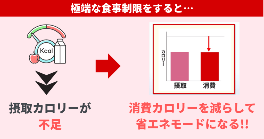 極端な食事制限をすると摂取カロリーが不足し、脳が消費カロリーを減らす命令を出します。