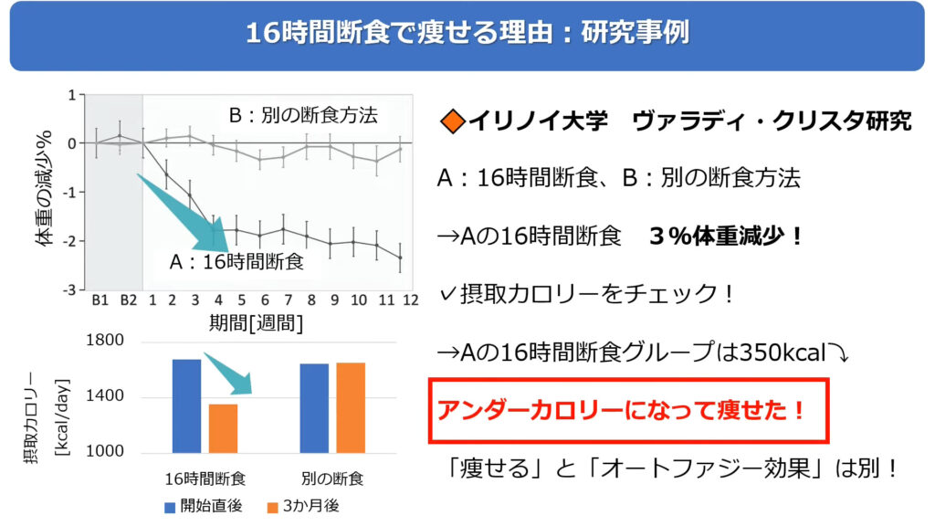 16時間断食で痩せる理由はアンダーカロリーのみです。断食でよくいわれるオートファジー効果は「痩せ」とは別物です。