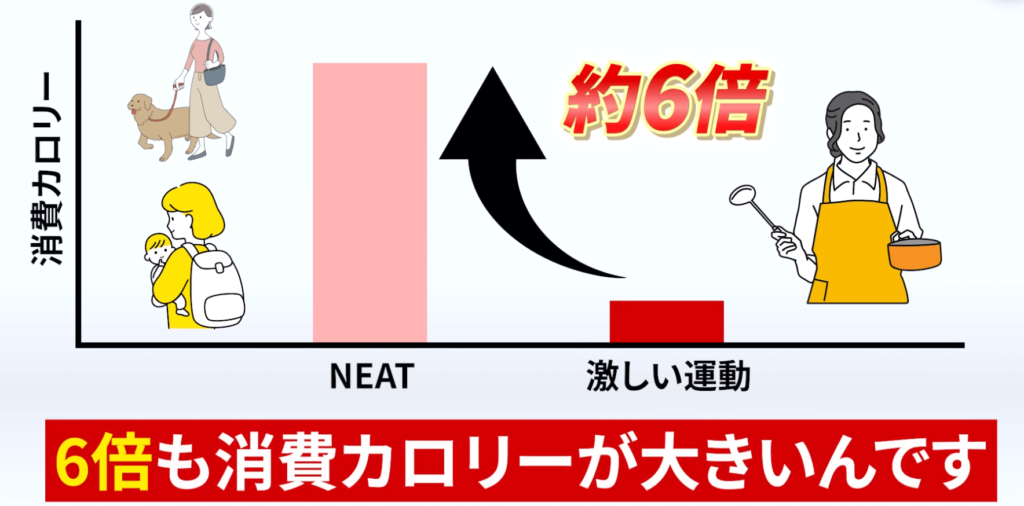 激しい運動よりも日常生活の活動量（NEAT）のほうが6倍も消費カロリーが大きいです。