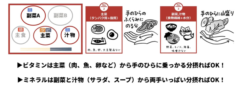 ビタミンを確保するためには主菜を手のひらに乗っかる分摂取すればOK。ミネラルは副菜と汁物から両手1杯分摂取すればOKです。