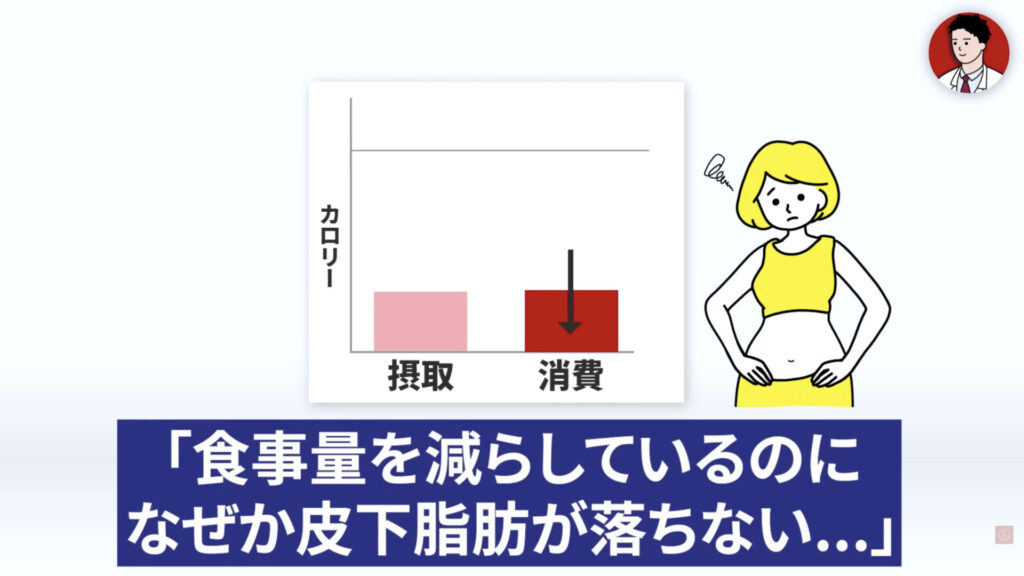 食事量を減らしすぎると、体がカロリー消費を抑えてしまい皮下脂肪がなかなか落ちにくくなります。