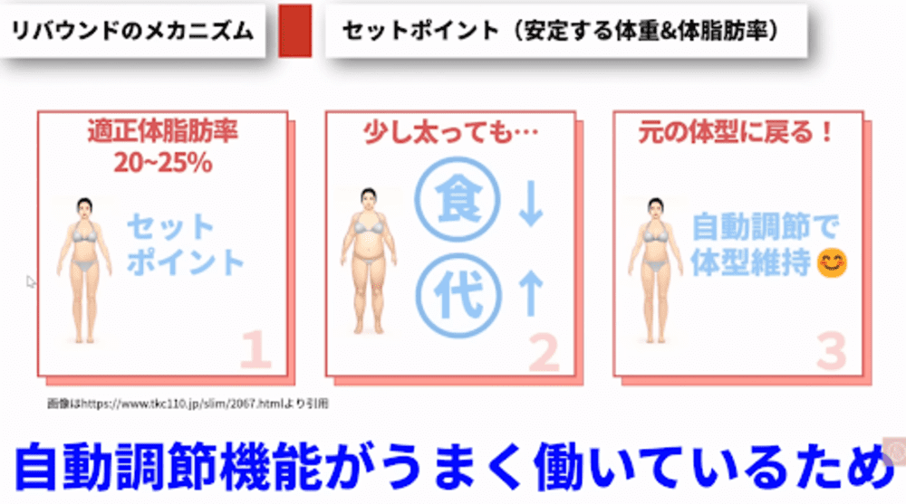 人間には体重を安定させるセットポイント機能があります。うまく働いていれば少し太っても元の体型に戻ります。