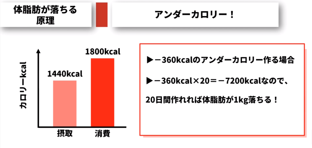 1日-360kcalなら20日で1kg痩せる