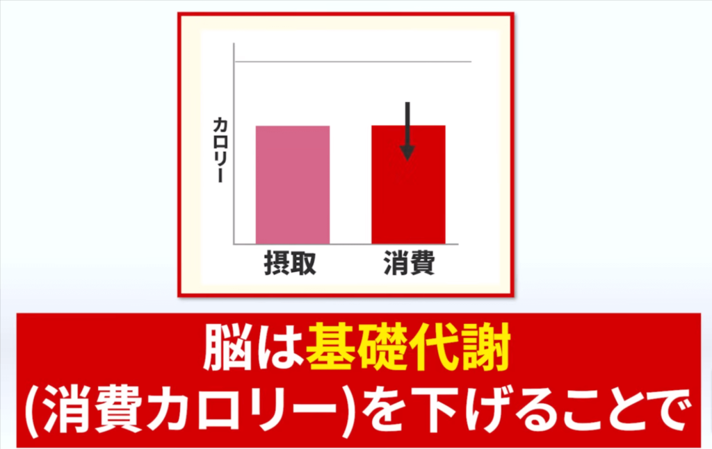 摂取カロリーを基礎代謝よりも減らしてしまうと、脳は基礎代謝を下げてしまう。