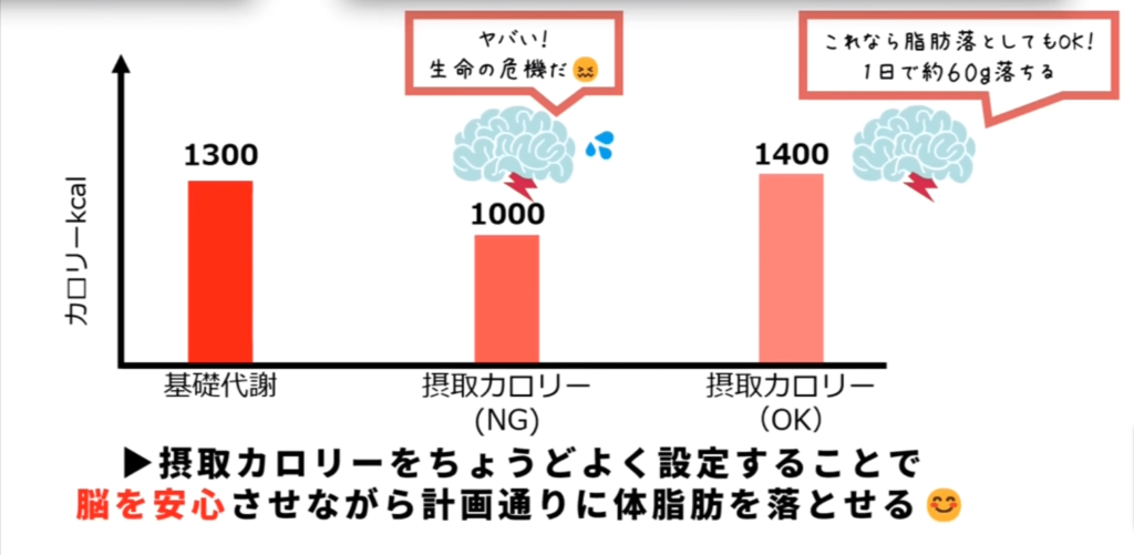 摂取カロリーを適正に設定すれば計画的に体脂肪を落とせる