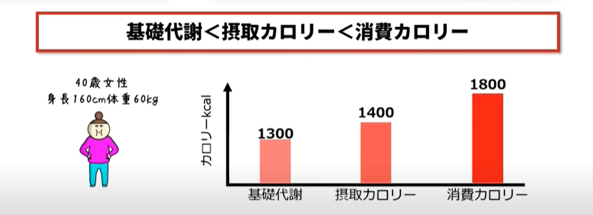 摂取カロリーを設定するときは、基礎代謝よりも高く、消費カロリーよりも低くすることが大切です。