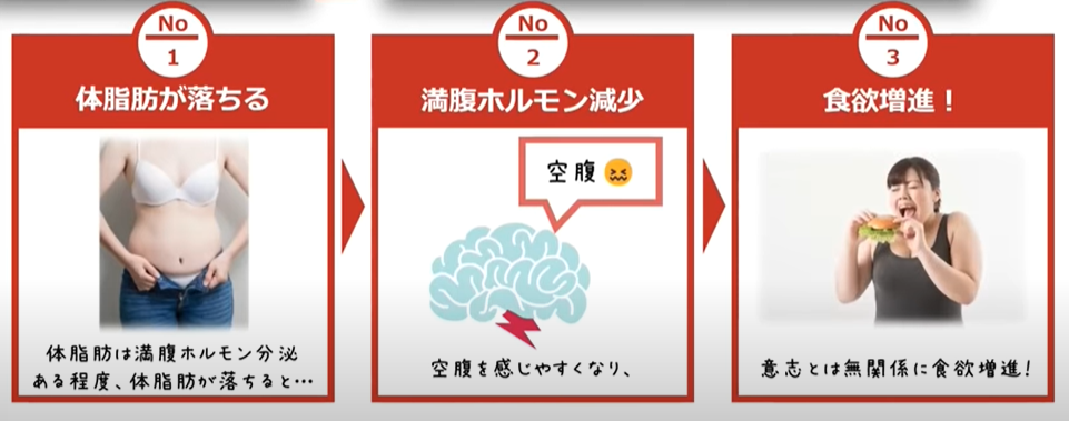 体脂肪が減ると満腹ホルモンの分泌が減少して食欲が増進します。