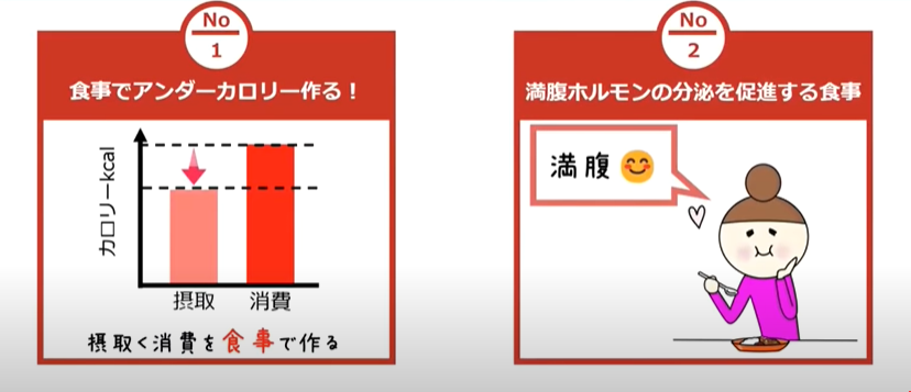 体脂肪を落とすための絶対条件は、食事でアンダーカロリーを作り、満腹ホルモンの分泌を促進することです。