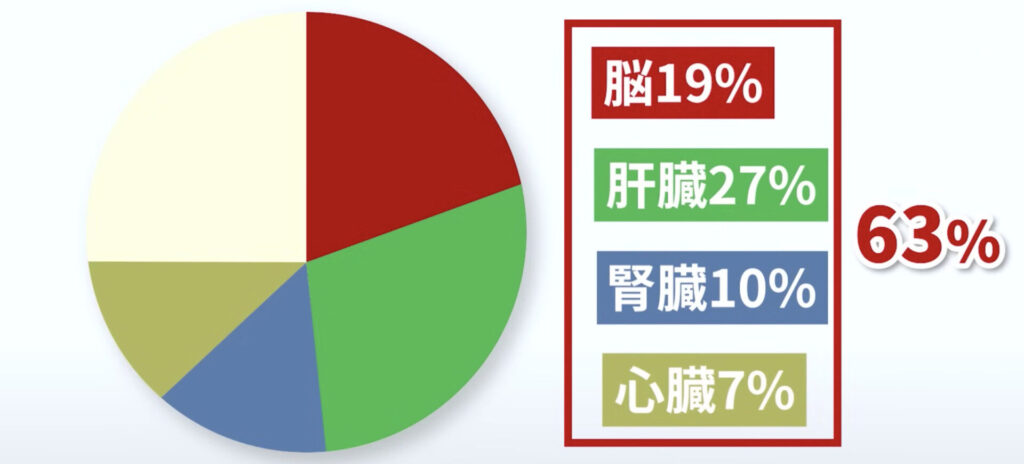 基礎代謝の内訳｜脳と内臓が63％を占めている