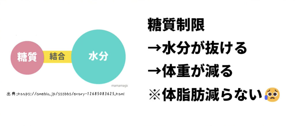 糖質制限では糖分にくっついている水分が抜けることで体重が落ちる。しかし、体脂肪は減っていないので体型はあまり変化しない