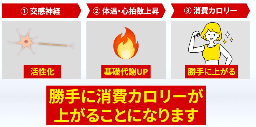 交感神経が活性化されると体温や心拍数が上昇し、消費カロリーが勝手に上がります。