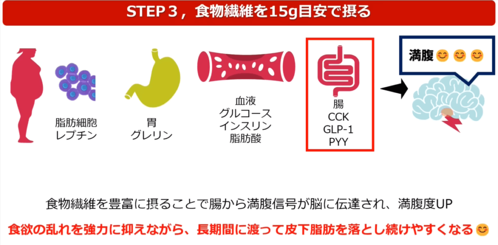 食物繊維を摂取すると、腸から満腹ホルモンが分泌されます。