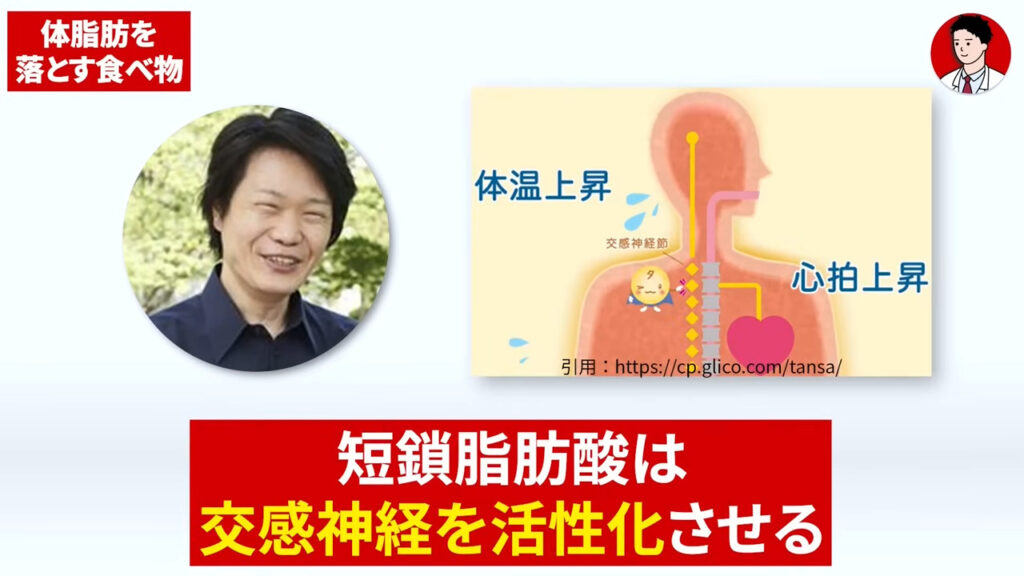 京都大学の木村教授の研究-食物繊維のダイエット効果