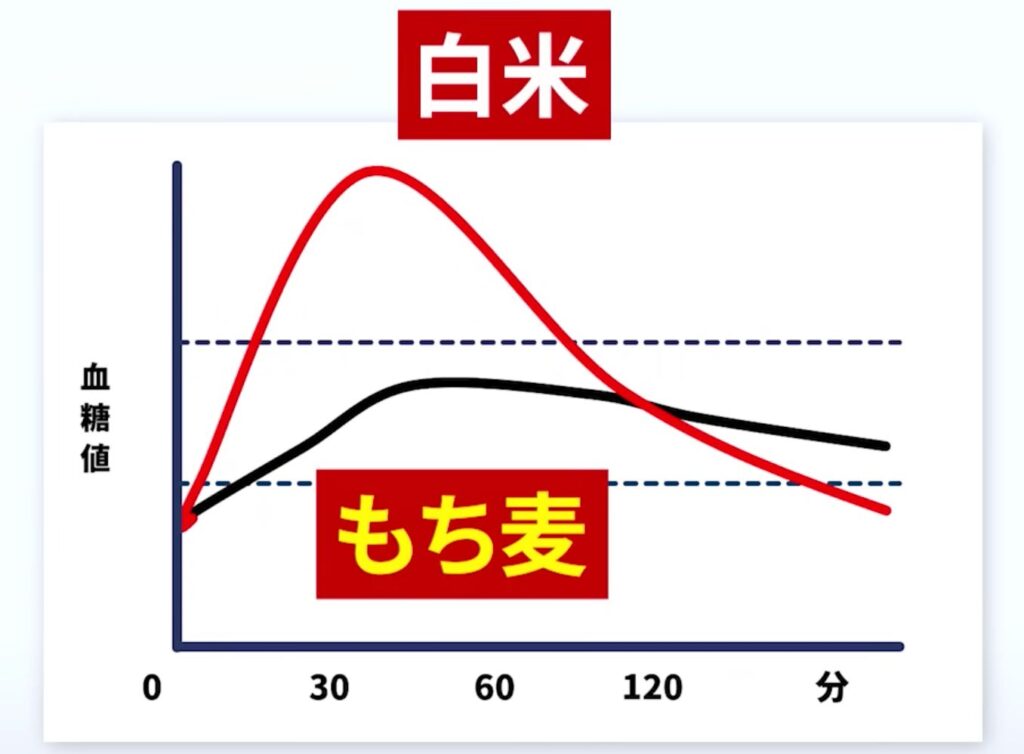 もち麦は白米よりも血糖値の上昇が緩やかであることが明らかになっています。