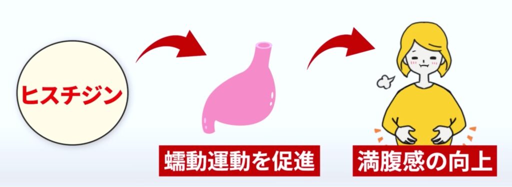 京都大学の研究によると、ヒスチジンによりぜんどう運動が活発化され、満腹感が向上することがわかっています。