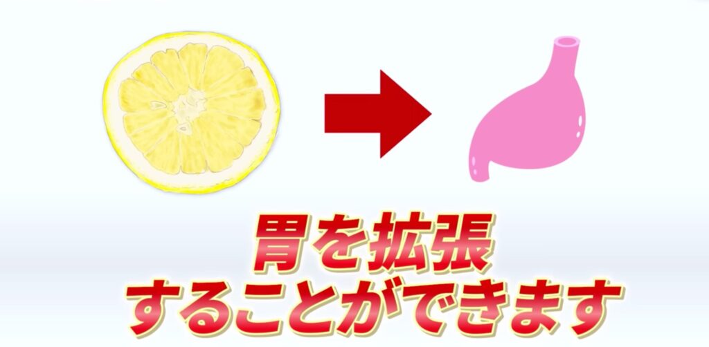 グレープフルーツは90%以上が水分なので胃を拡張する効果が期待できます。