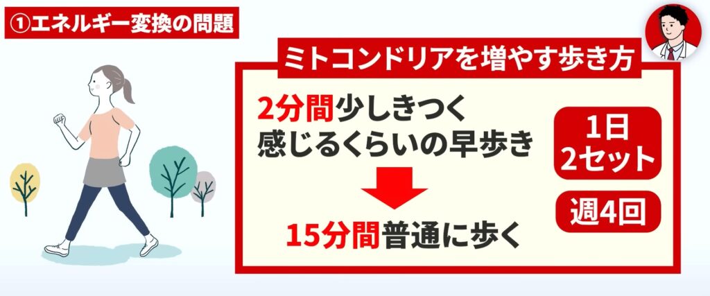 ミトコンドリアを増やす効果的な歩き方を解説しています。