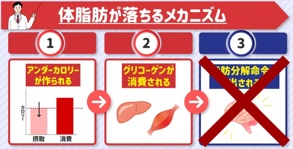 睡眠が不足すると自律神経が乱れて脳からの脂肪分解命令が出にくくなる