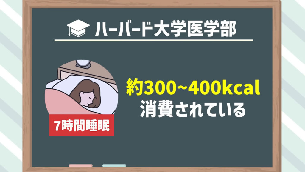 ハーバード大学医学部の研究結果によると、7時間の睡眠中に約300～400kcalが消費されている