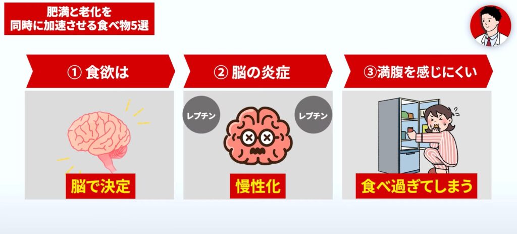 食欲は脳が司令を出しており、脳に炎症が起きて慢性化すると満腹ホルモンが分泌されても満腹感が得られにくくなります。