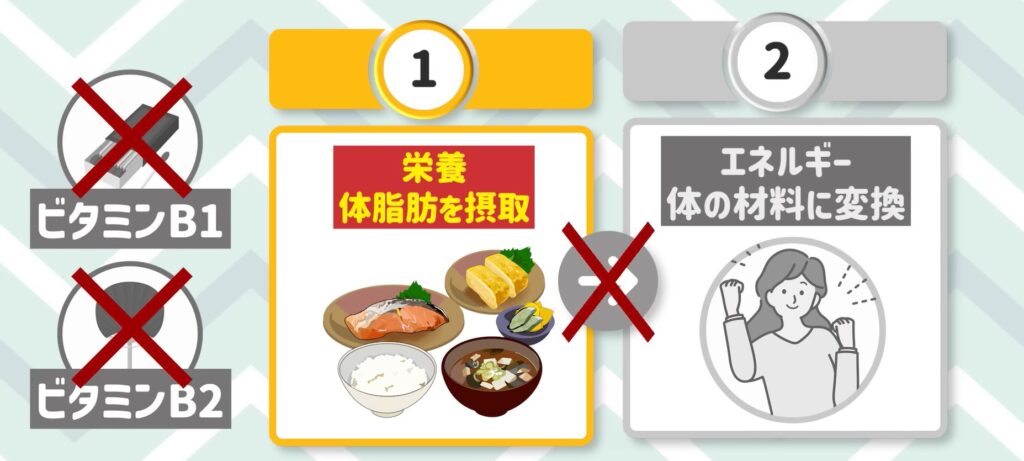 ビタミン・ミネラルが不足すると、せっかく整えて摂取した栄養素がエネルギーに変換されない。