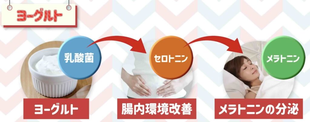 ヨーグルトで腸内環境を整えてメラトニンを増やそう。