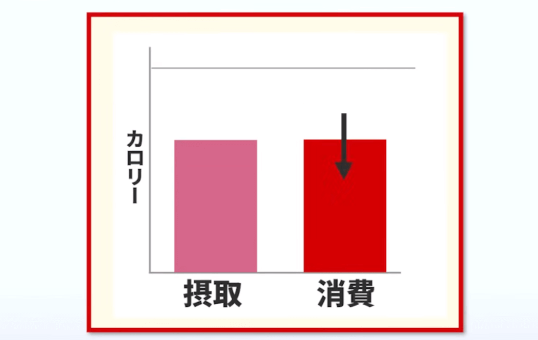 摂取カロリーを基礎代謝よりも減らしてしまうと、脳は基礎代謝を下げてしまう。